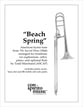Beach Spring P.O.D. cover